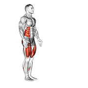 Animación de lunge with twist