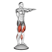 Animación de squat on bosu ball