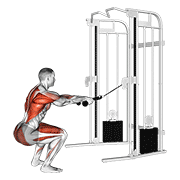 Animación de cable squat row (with rope attachment)