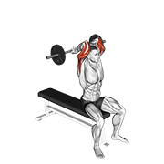 Animación de barbell seated close grip behind neck triceps extension