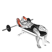 Animación de barbell lying back of the head tricep extension