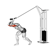 Animación de cable high pulley overhead tricep extension