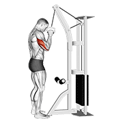 Animación de cable one arm tricep pushdown