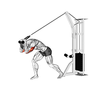 Animación de cable rope high pulley overhead tricep extension