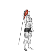 Animación de cable standing reverse grip one arm overhead tricep extension