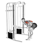 Animación de cable two arm tricep kickback