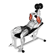 Animación de dumbbell lying alternate extension