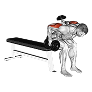 Animación de dumbbell seated bent over alternate kickback