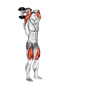 Animación de dumbbell forward lunge triceps extension