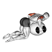 Animación de dumbbell kickbacks on exercise ball