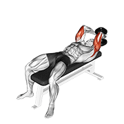 Animación de dumbbell lying single extension