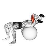 Animación de dumbbell one arm french press on exercise ball