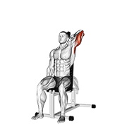 Animación de dumbbell seated reverse grip one arm overhead tricep extension