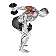 Animación de dumbbell standing alternating tricep kickback