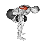 Animación de dumbbell standing bent over one arm triceps extension