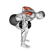 Animación de dumbbell standing bent over two arm triceps extension