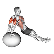 Animación de exercise ball dip