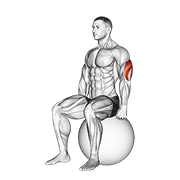 Animación de exercise ball seated triceps stretch