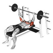 Animación de barbell pin presses