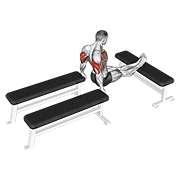 Animación de three bench dip