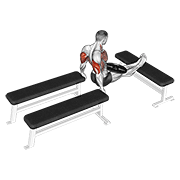 Animación de weighted three bench dips