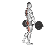 Animación de barbell single leg deadlift