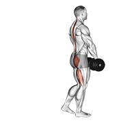 Animación de dumbbell single leg deadlift