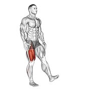 Animación de single leg squat (pistol) male