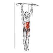 Animación de hanging leg hip raise