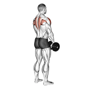 Animación de dumbbell upright row (back pov)