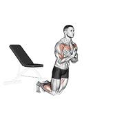 Animación de self assisted inverse leg curl