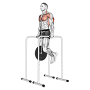 Animación de weighted triceps dip on high parallel bars