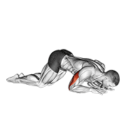 Animación de bodyweight kneeling triceps extension