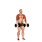 Animación de dumbbell cuban press v. 2