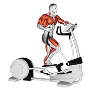 Animación de walk elliptical cross trainer