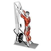 Animación de ski ergometer