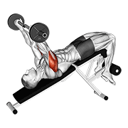 Animación de ez barbell decline triceps extension