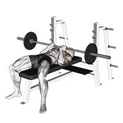 Animación de barbell reverse close-grip bench press