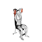 Animación de dumbbell seated triceps extension