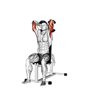 Animación de dumbbells seated triceps extension