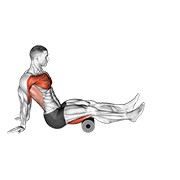 Animación de roller seated shoulder flexor depresor retractor