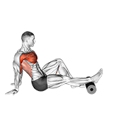 Animación de roller seated single leg shoulder flexor depresor retractor