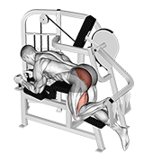 Animación de lever hip extension v. 2