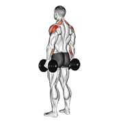 Animación de dumbbell rear delt raise
