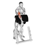 Animación de dumbbell standing zottman preacher curl
