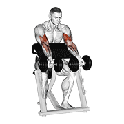 Animación de dumbbell zottman preacher curl