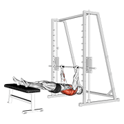 Animación de inverted row on bench