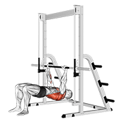 Animación de inverted row bent knees
