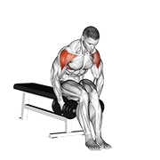 Animación de dumbbell seated bent arm lateral raise