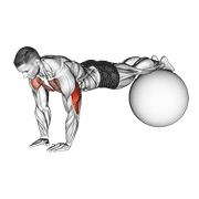 Animación de narrow push-up on exercise ball
